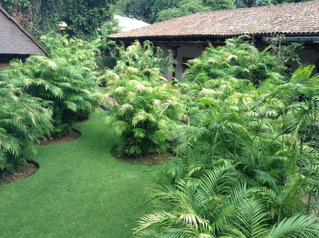 Hacienda San Pedro Hotel Uruapan  ภายนอก รูปภาพ